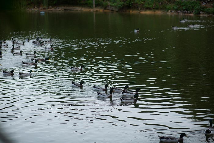 同心逐夢(mèng)，溫暖同行 —— 東科集團(tuán)20周年慶團(tuán)建精彩回顧！