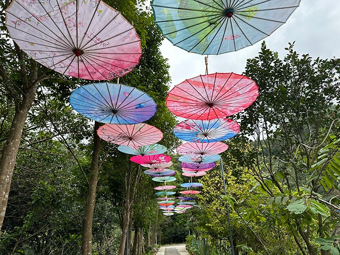 同心逐夢(mèng)，溫暖同行 —— 東科集團(tuán)20周年慶團(tuán)建精彩回顧！