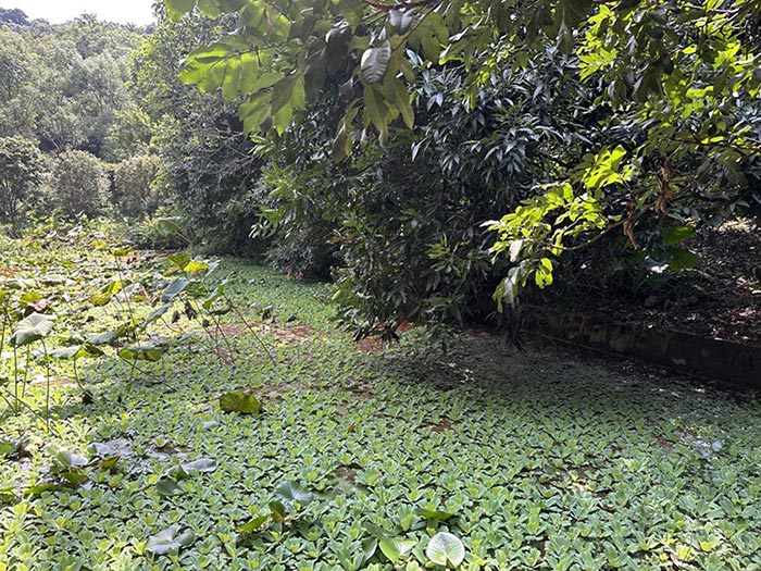 同心逐夢(mèng)，溫暖同行 —— 東科集團(tuán)20周年慶團(tuán)建精彩回顧！