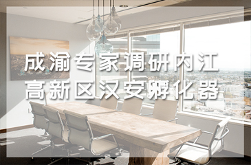 成渝專家調研內江高新區漢安孵化器