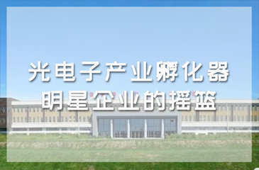 「科技創新」光電子產業孵化器：“明星企業”的搖籃